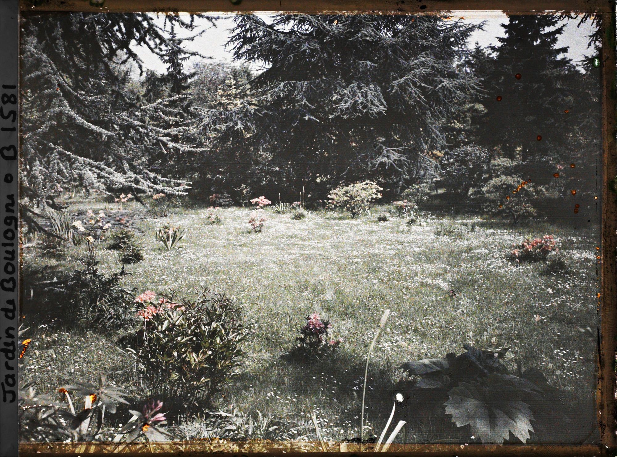 Image représentant la pelouse près du marais