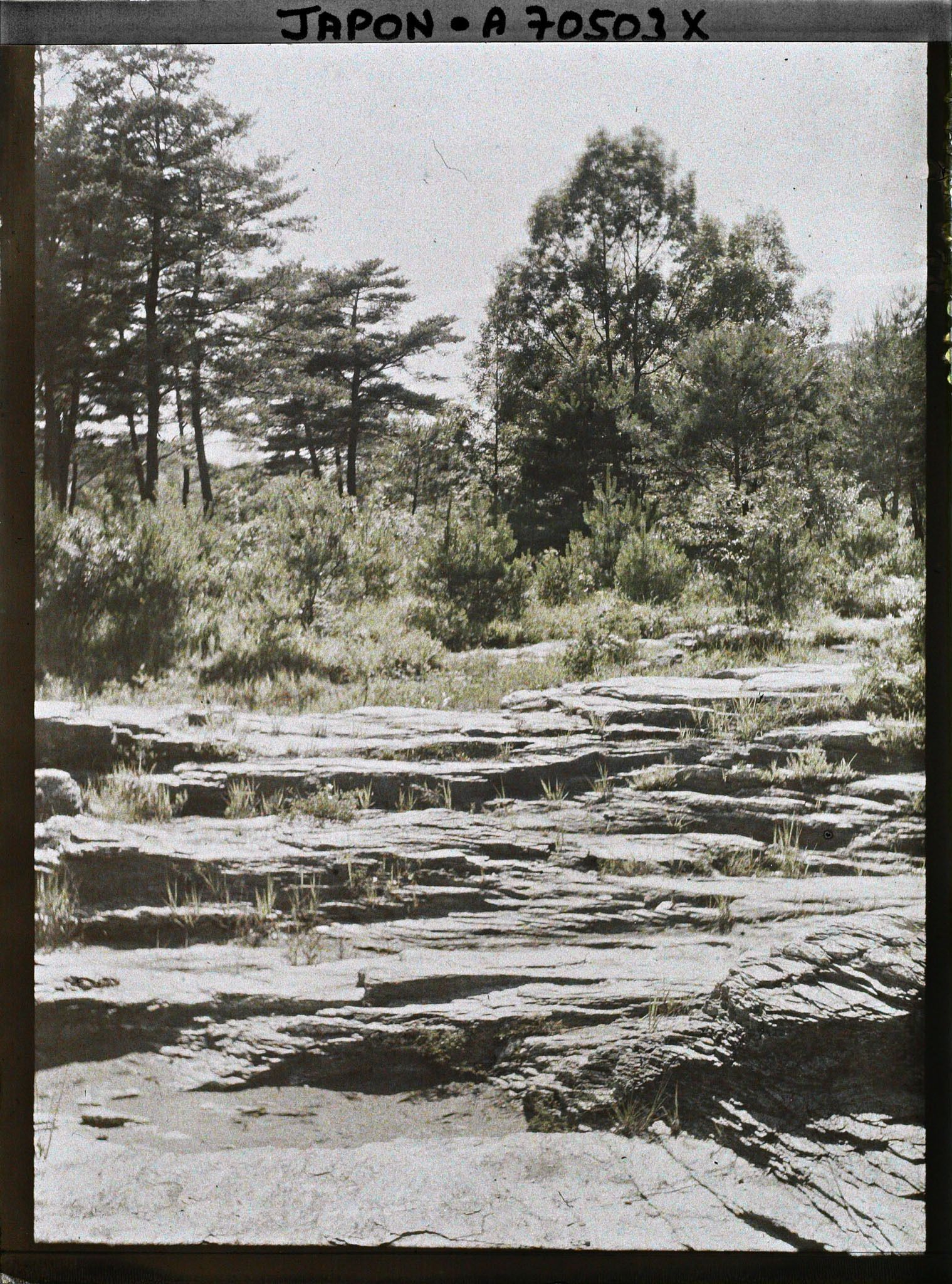Image représentant Rivière et gorges de l'Arakawa