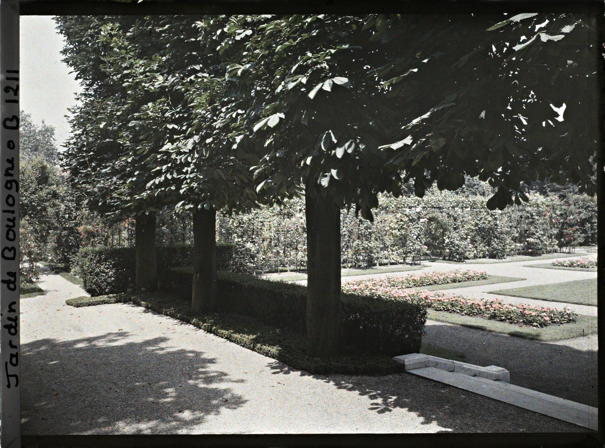 Image représentant Le jardin français vue de sa terrasse ombragée, côté sud