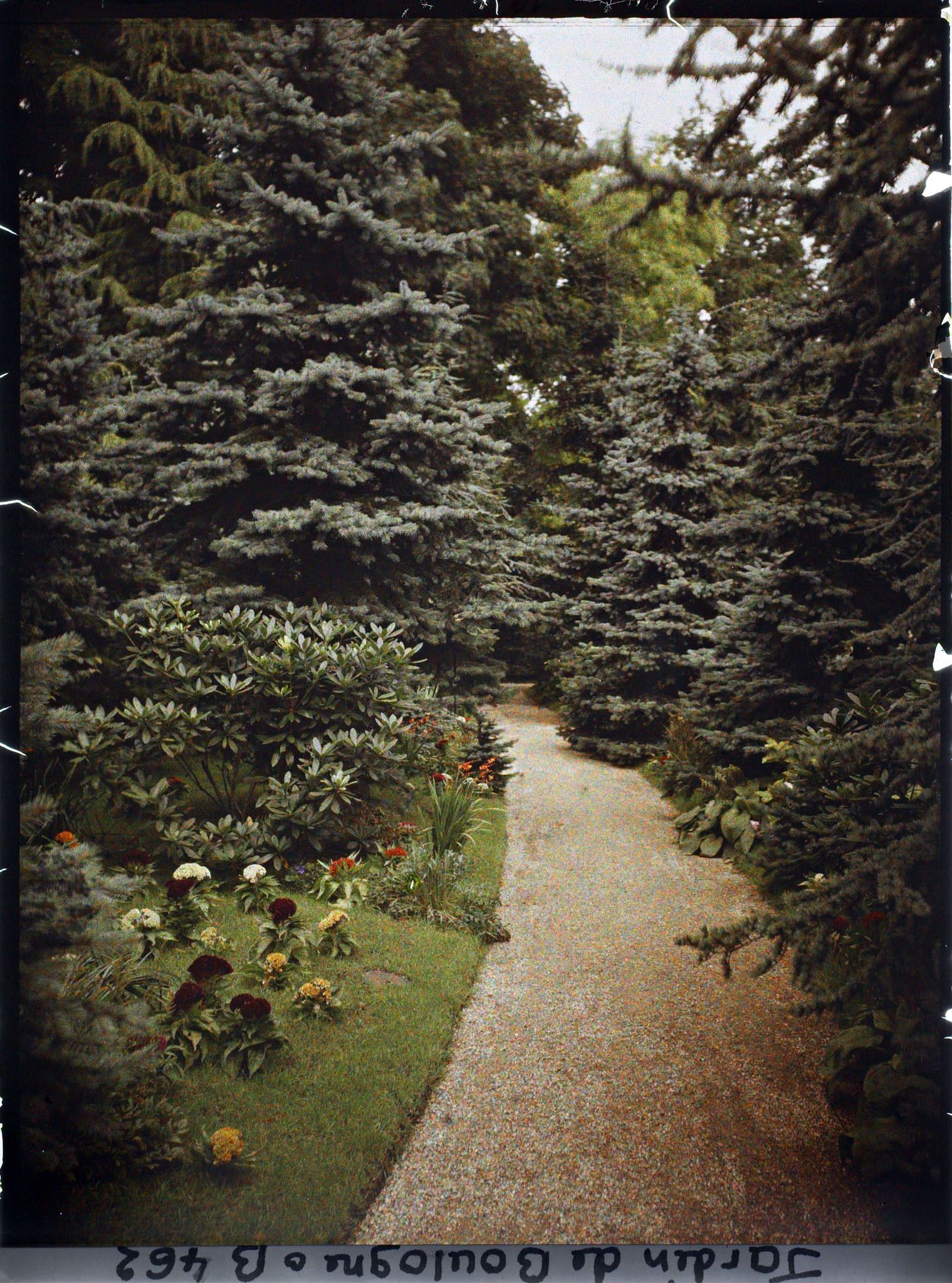 Image représentant Allée de la forêt bleue bordée de plates-bandes fleuries