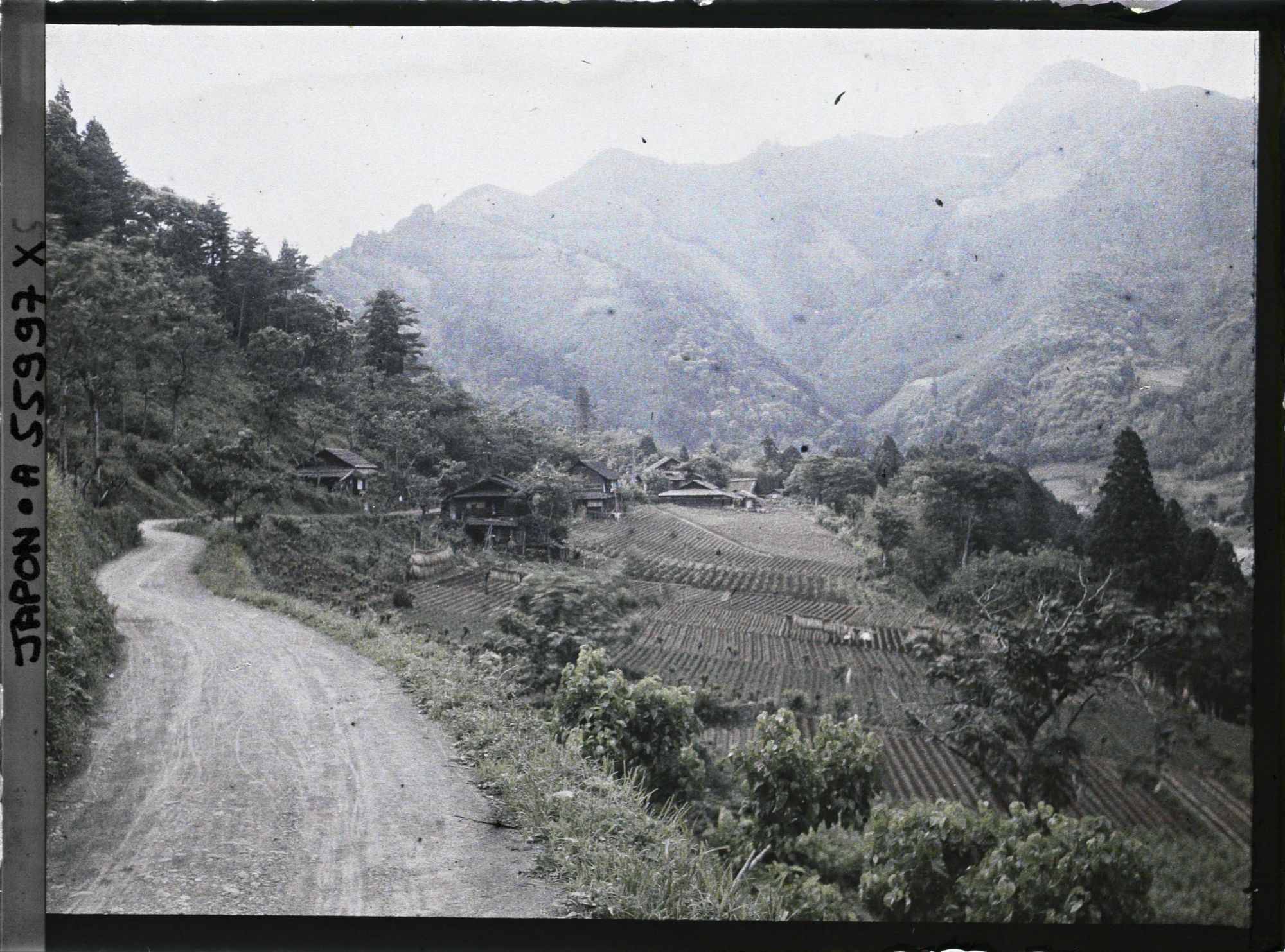 Image représentant Vue probable de la vallée de la Tamagawa