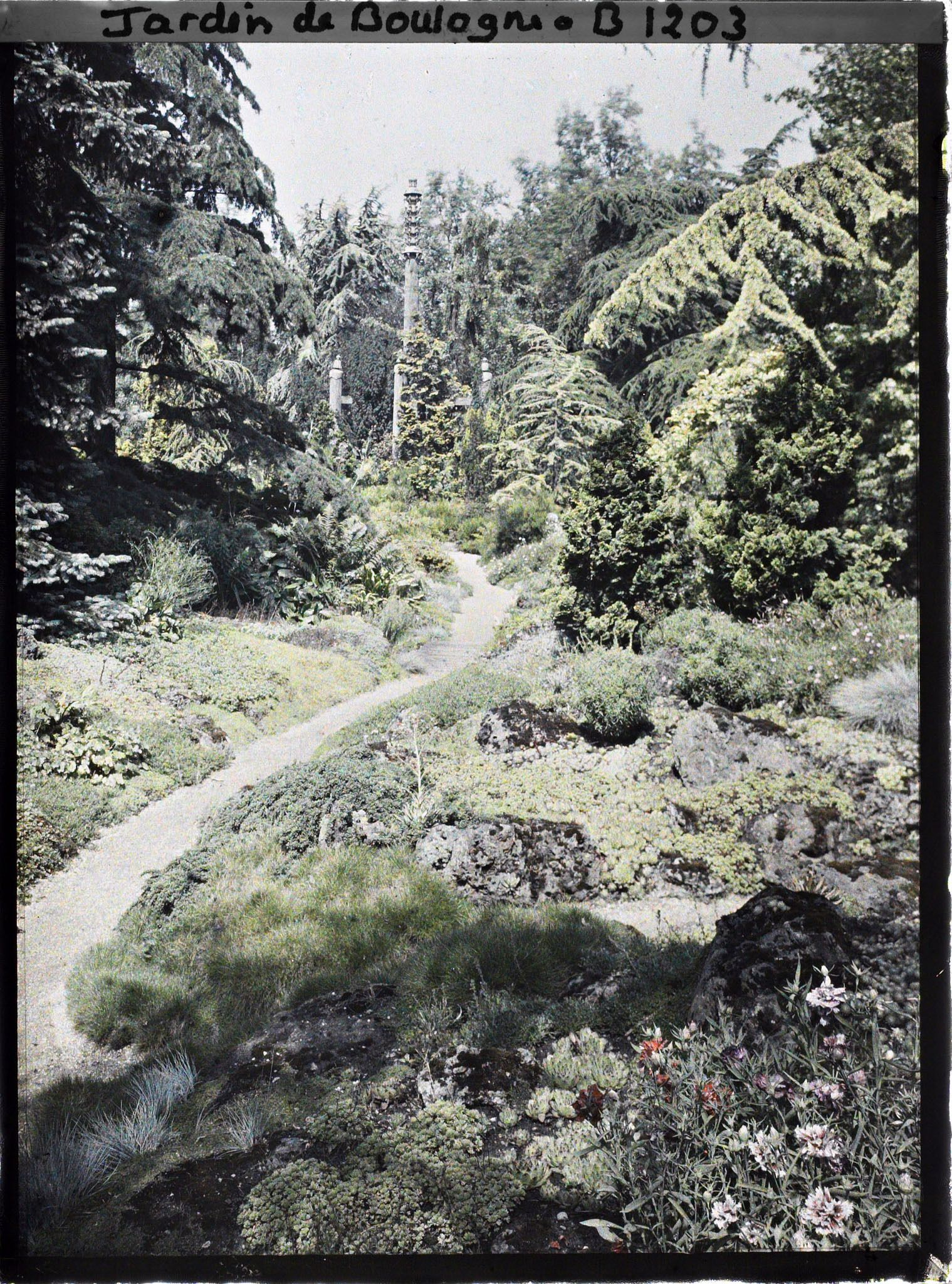 Image représentant Chemin du " sanctuaire japonais " menant au sorinto et rocaille fleurie ponctuée de conifères