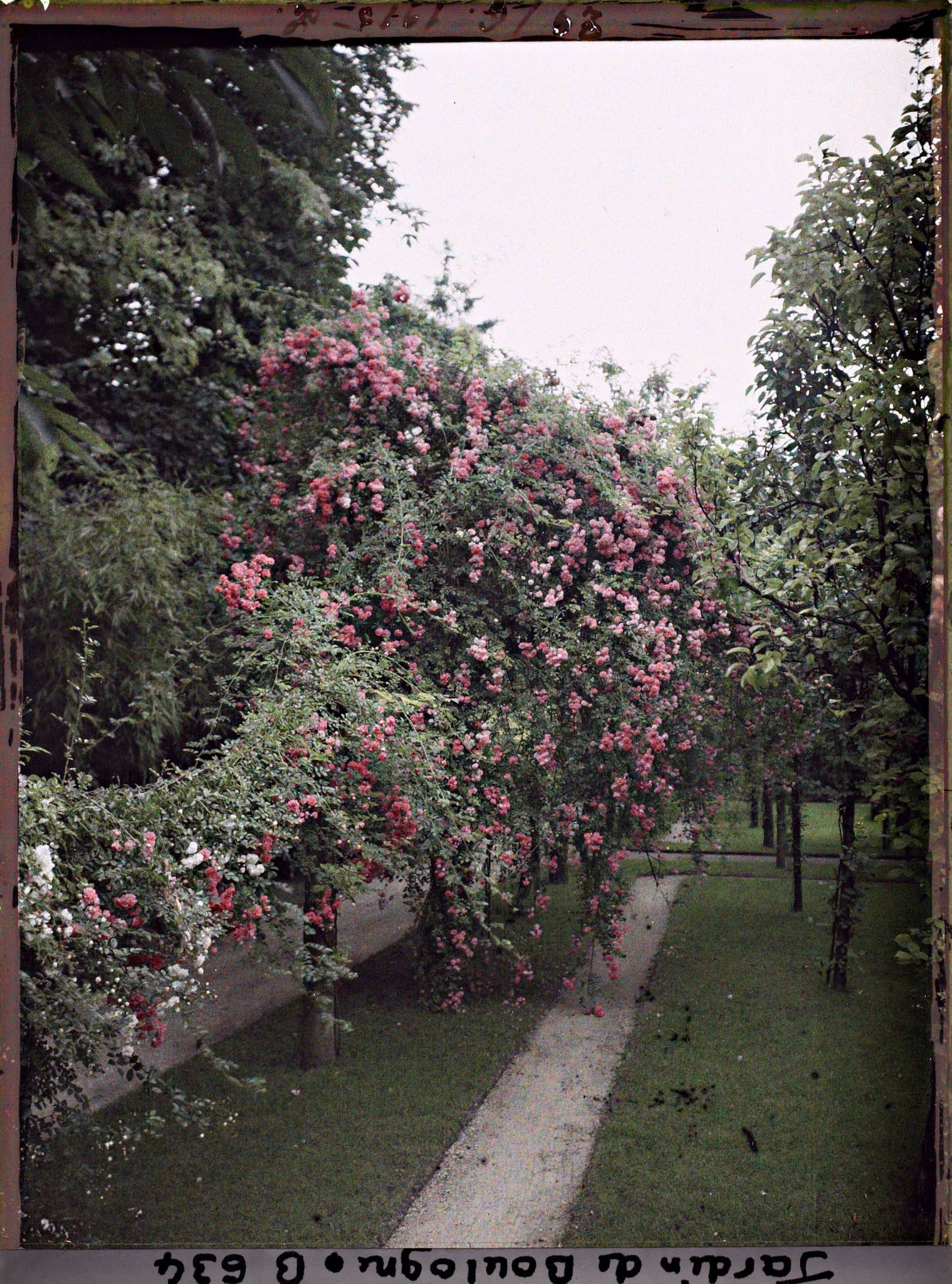 Image représentant IF7985_B000634.jpg