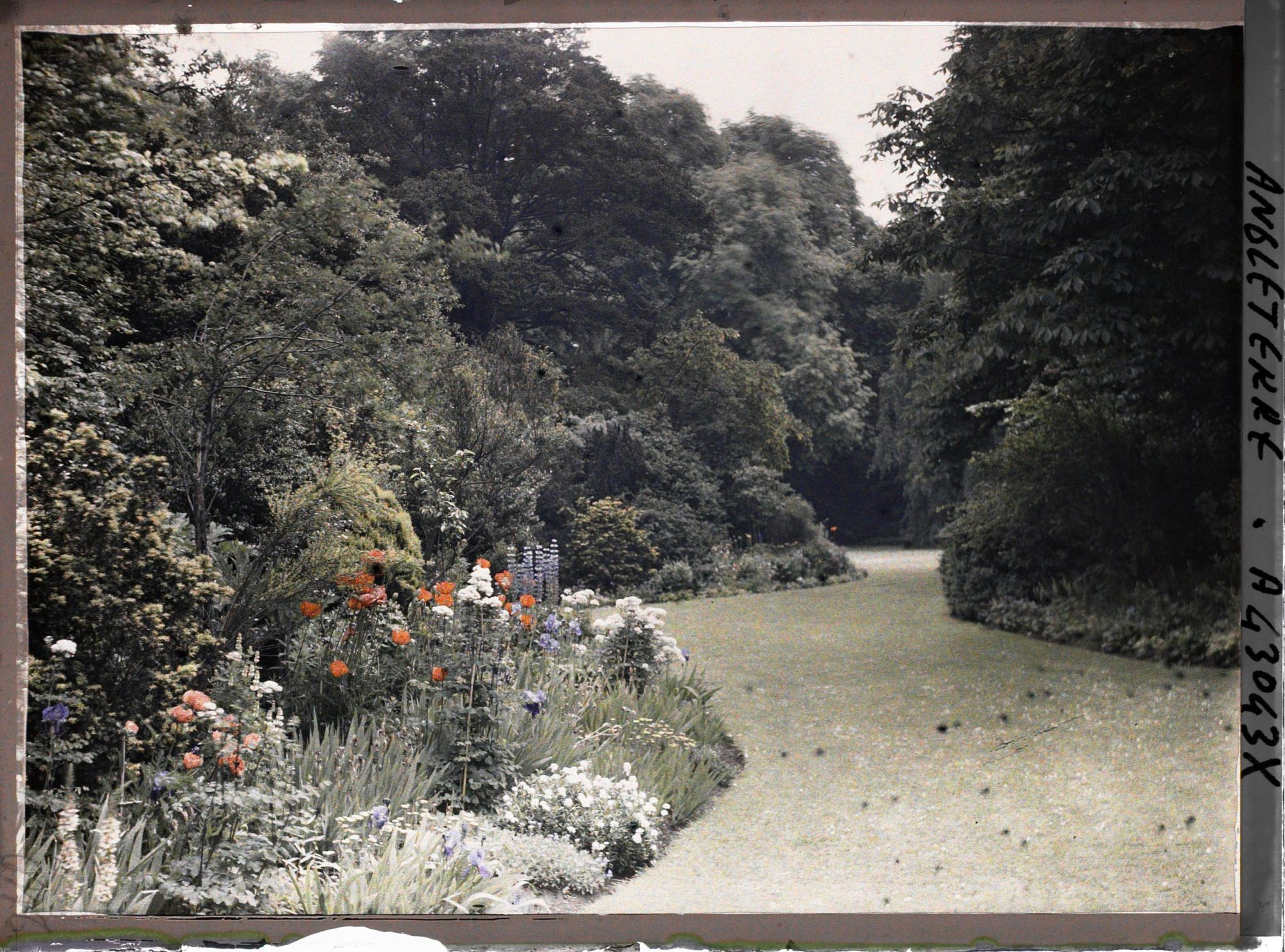 Image représentant Une allée du Jardin du Saint John's College