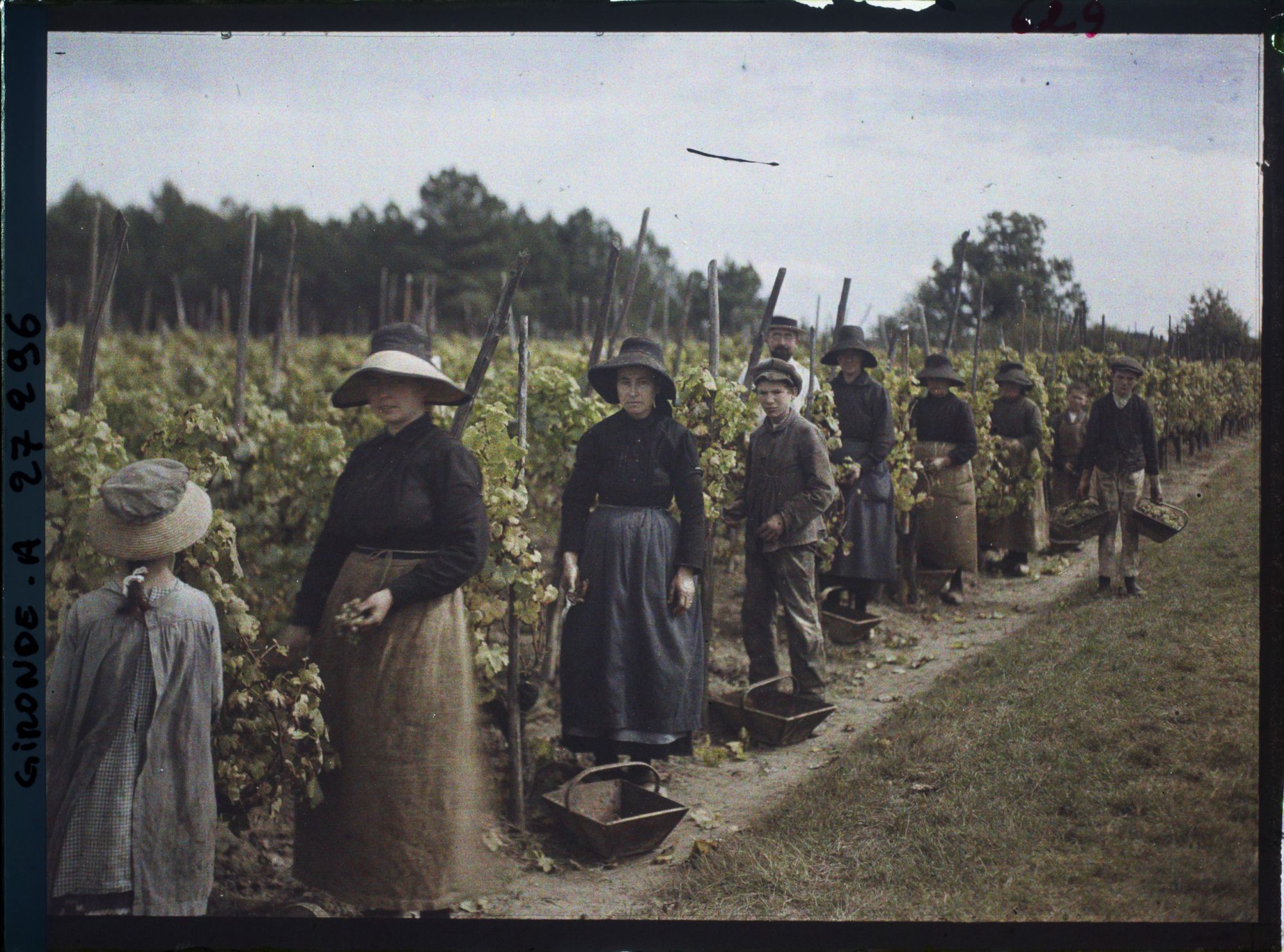 Image représentant St Emilion, Groupe de Vendangeurs