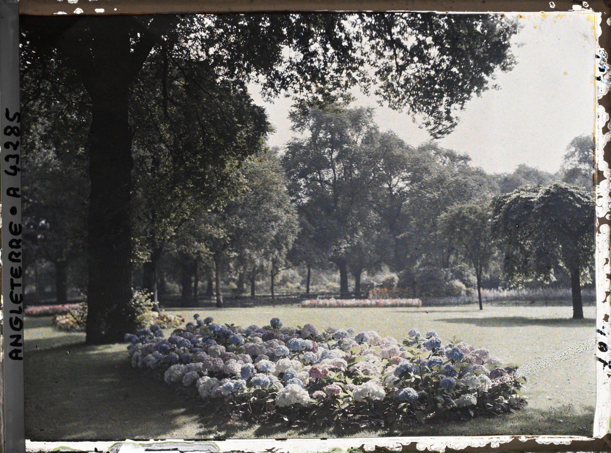 Image représentant Vues diverses d'Hyde Parc les jardins