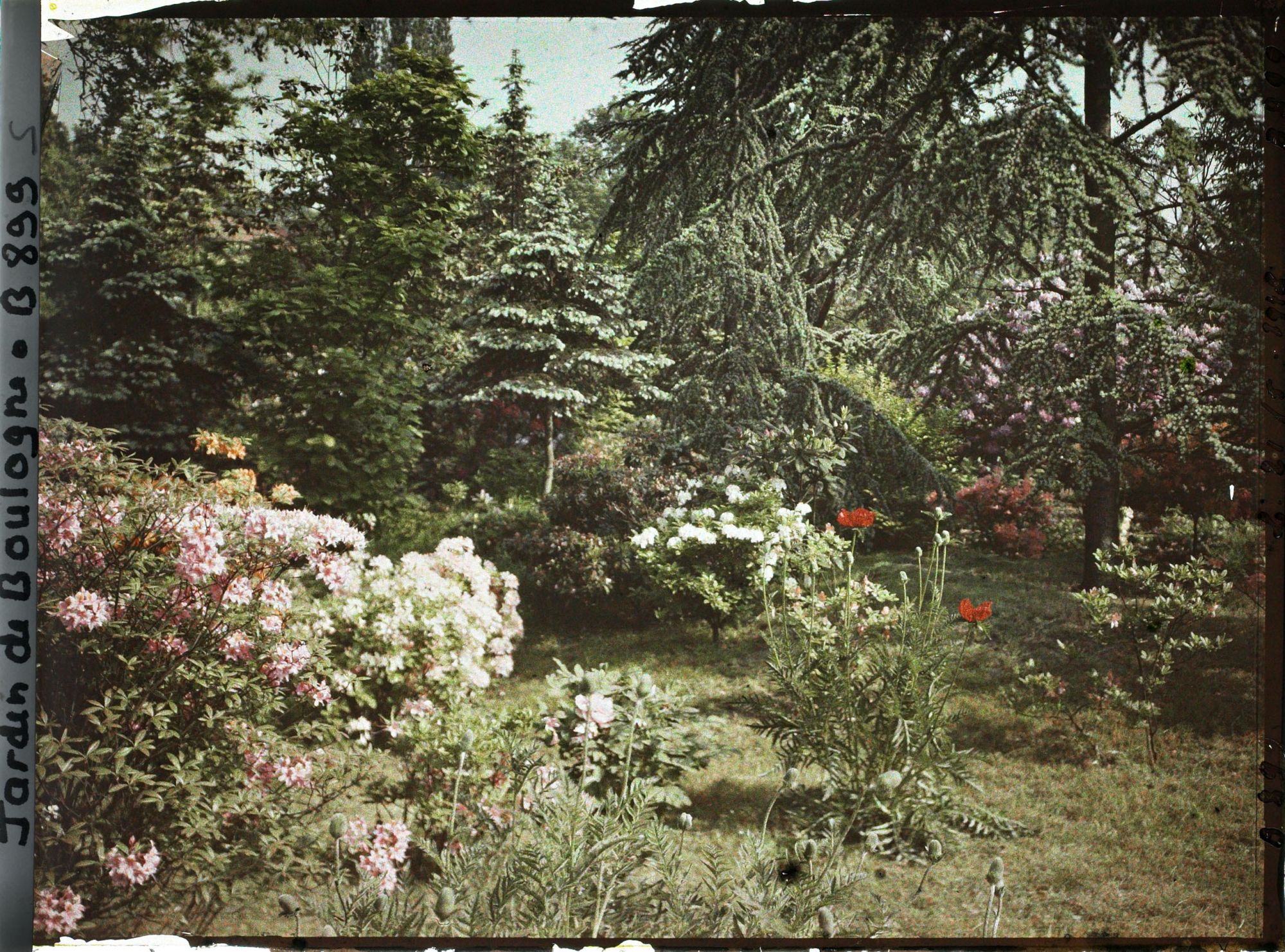 Image représentant jardins