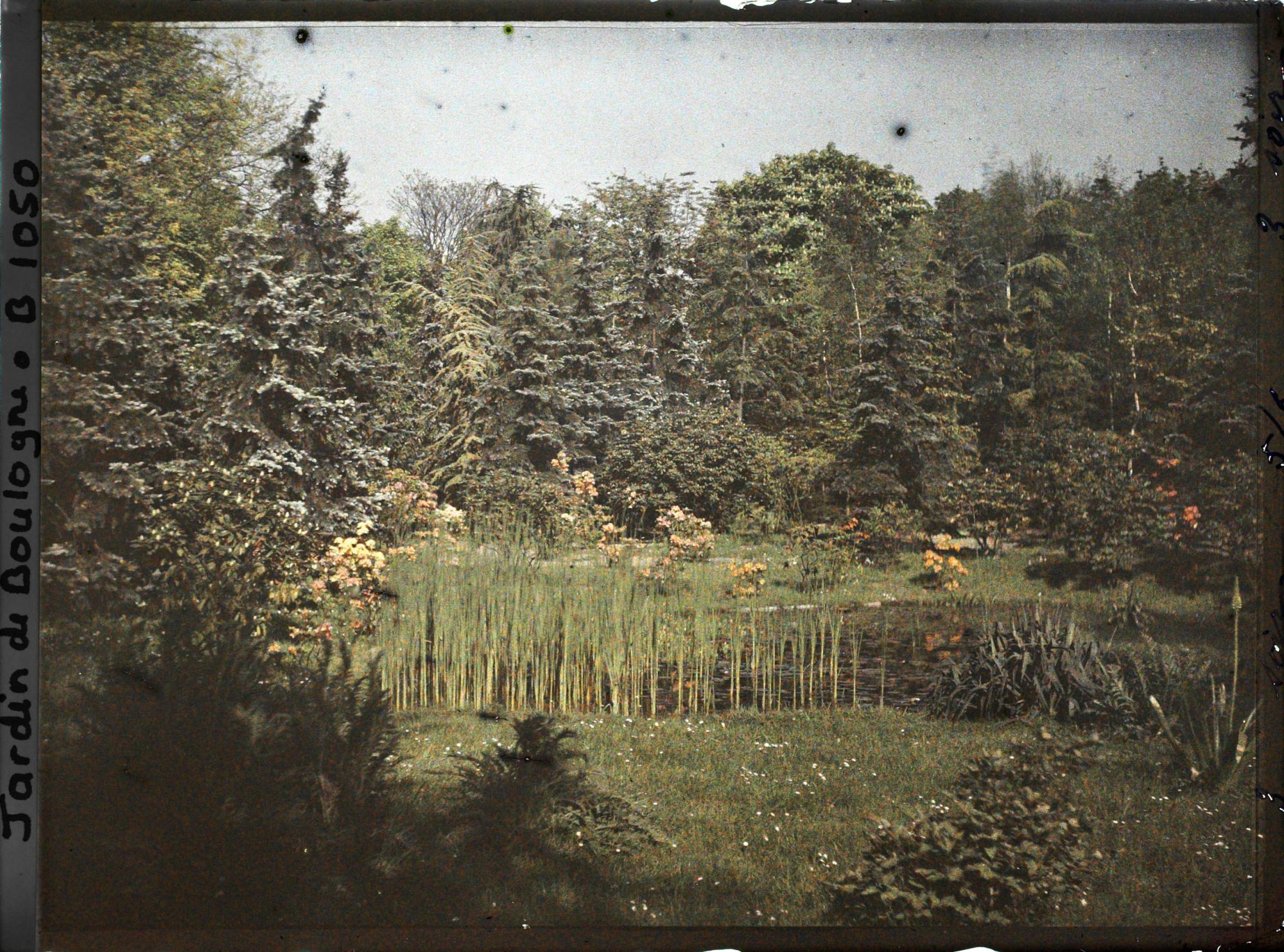 Image représentant " Etang " orné d'azalées en fleurs, situé au nord du marais et vu en direction de l'est