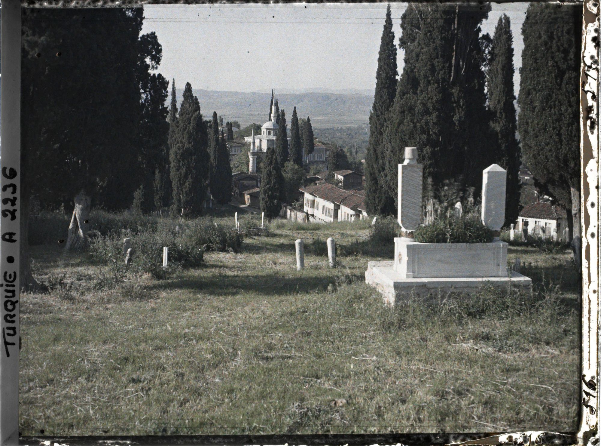 Image représentant Tombes dans un cimetière planté de cyprès