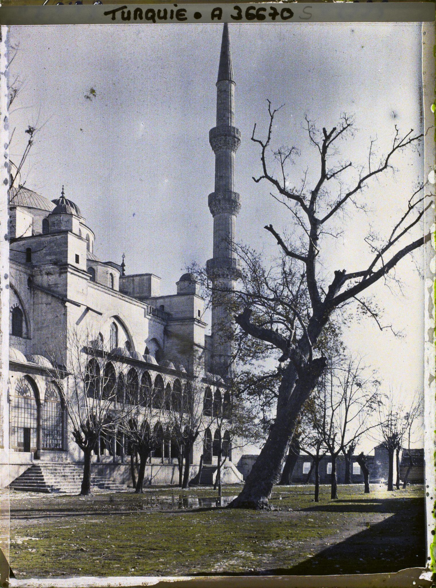 Image représentant Une façade de la Mosquée du Sultan Ahmet Camii ("mosquée du Sultan Ahmet") ou "mosquée Bleue"