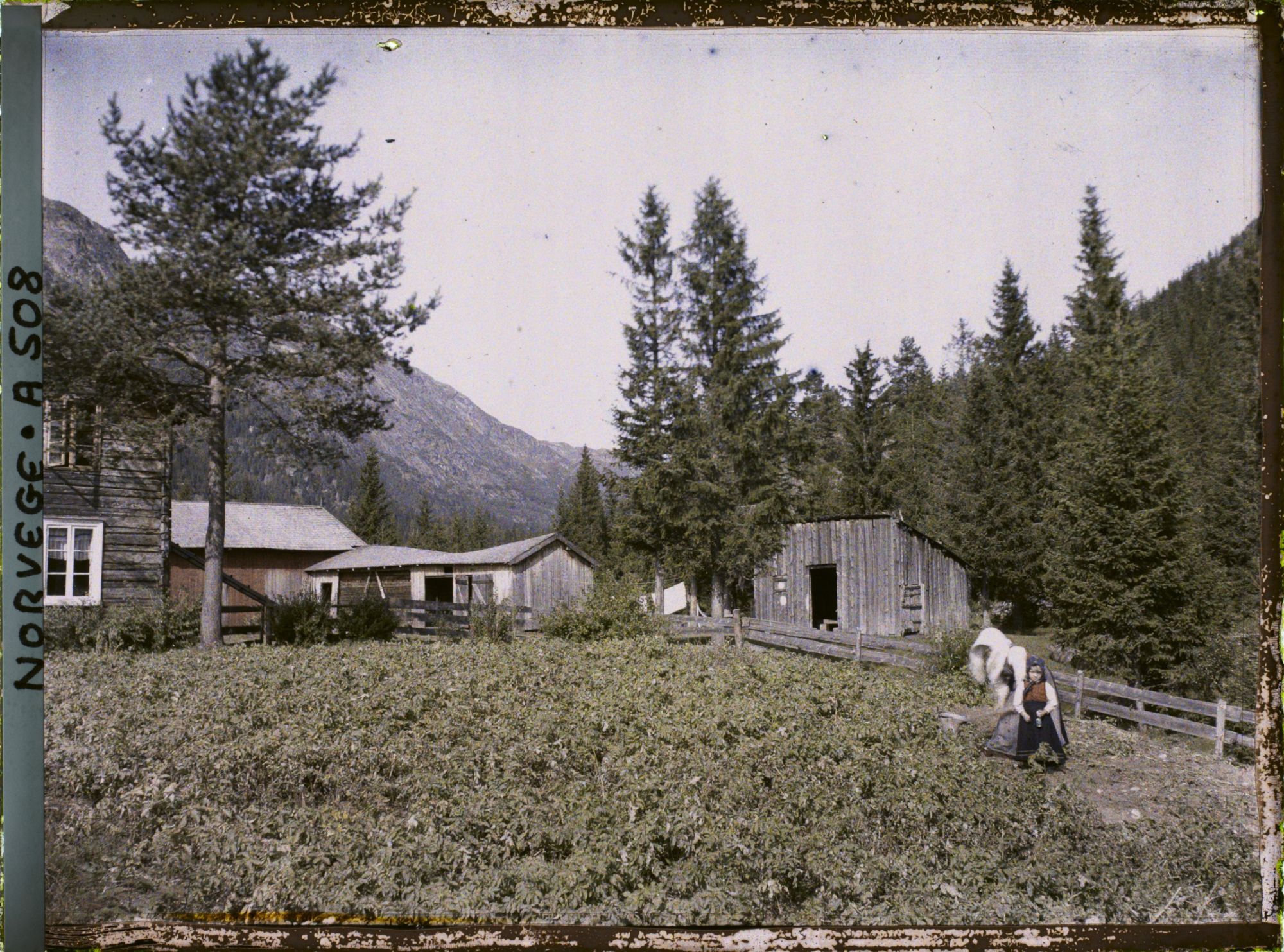 Image représentant Un champ à Moen près de Tokke