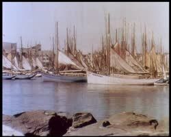 Image représentant Le Pardon, la Grande Troménie