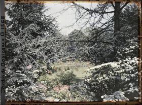 Image représentant Fenêtre de branchages et d'arbustes en fleurs, ouvrant vers le nord, sur la partie est du marais