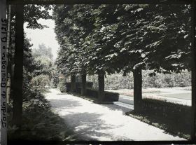 Image représentant Le jardin français vue de sa terrasse ombragée, côté sud