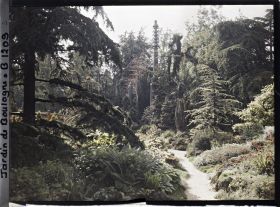 Image représentant Chemin du " sanctuaire japonais " menant au sorinto et rocaille fleurie ponctuée de conifères
