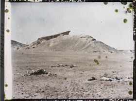 Image représentant Squelettes de chameaux