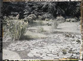 Image représentant les étangs du marais