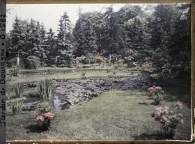 Image représentant Partie est du marais entourée d'azalées et de rhododendrons en fleurs, vue en direction du nord