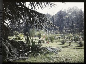 Image représentant Le marais vu en direction du nord, nord-ouest, près d'un grand cèdre situé au sud de ses " étangs "