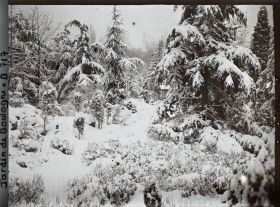 Image représentant Espace arboré du " sanctuaire japonais " sous la neige avec une allée menant au " village japonais "