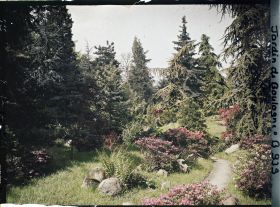 Image représentant Chemin du " sanctuaire japonais " bordé d'érables et d'azalées, à la sortie du " village japonais "