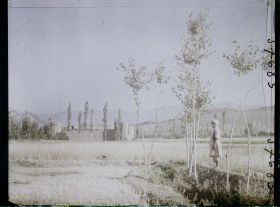 Image représentant Afghanistan, Meidan, Paysage vers une ferme