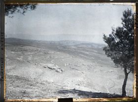 Image représentant Panorama depuis le Mont Scopus