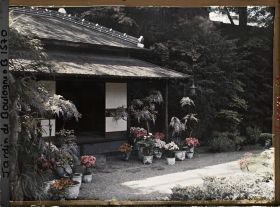 Image représentant Maison est du " village japonais ", ornée de glycines, azalées et autres plantes en pots fleuries