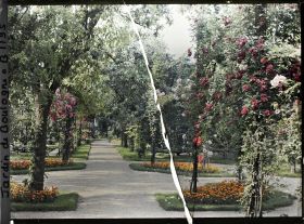 Image représentant Rond-point fleuri proche du jardin français, sur une allée du verger-roseraie menant à la forêt bleue