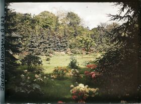 Image représentant Azalées et rhodos près du marais
