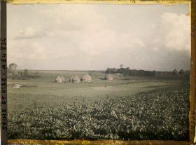 Image représentant Seine et Oise, Domont, Betteraves et meules de blé