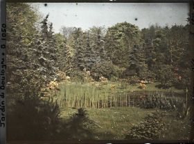 Image représentant " Etang " orné d'azalées en fleurs, situé au nord du marais et vu en direction de l'est