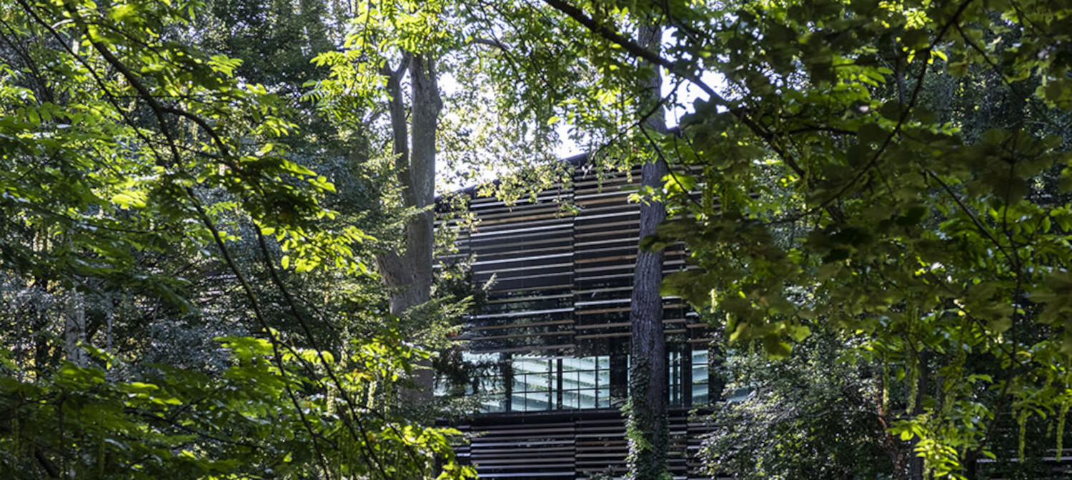 La façade du bâtiment de Kengo Kuma depuis le jardin anglais. - © CD92/J.Brechl